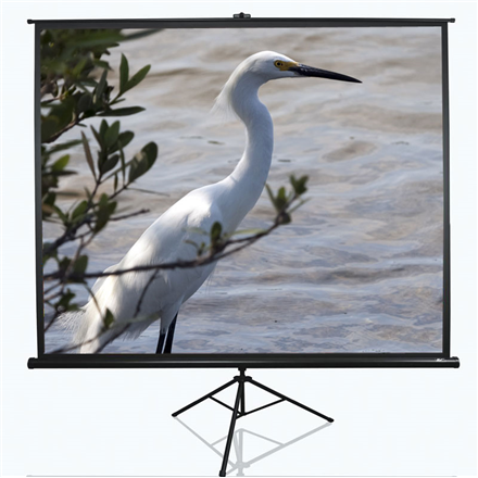 Elite Screens Tripod Series T120UWV1 Diagonal 120 "