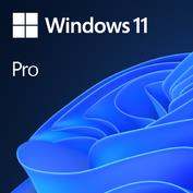 MICROSOFT Win 11 Pro 64Bit Eng Intl 1pk DSP OEI DVD Win Pro OEM