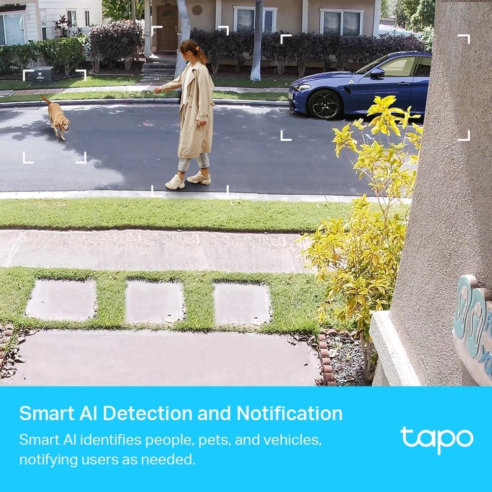 NET CAMERA SMART H.264/TAPO C420S2 TP-LINK