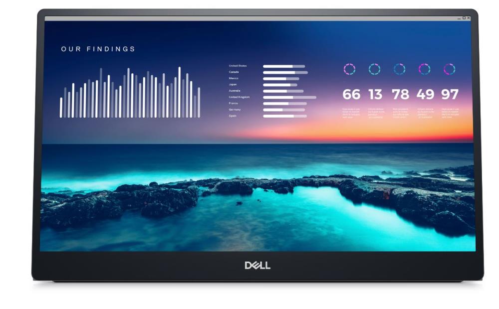 DELL P1424H 14" Panel IPS