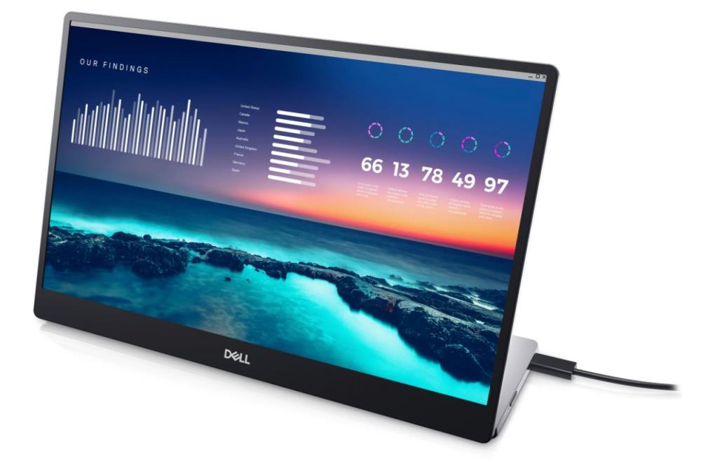 DELL P1424H 14" Panel IPS