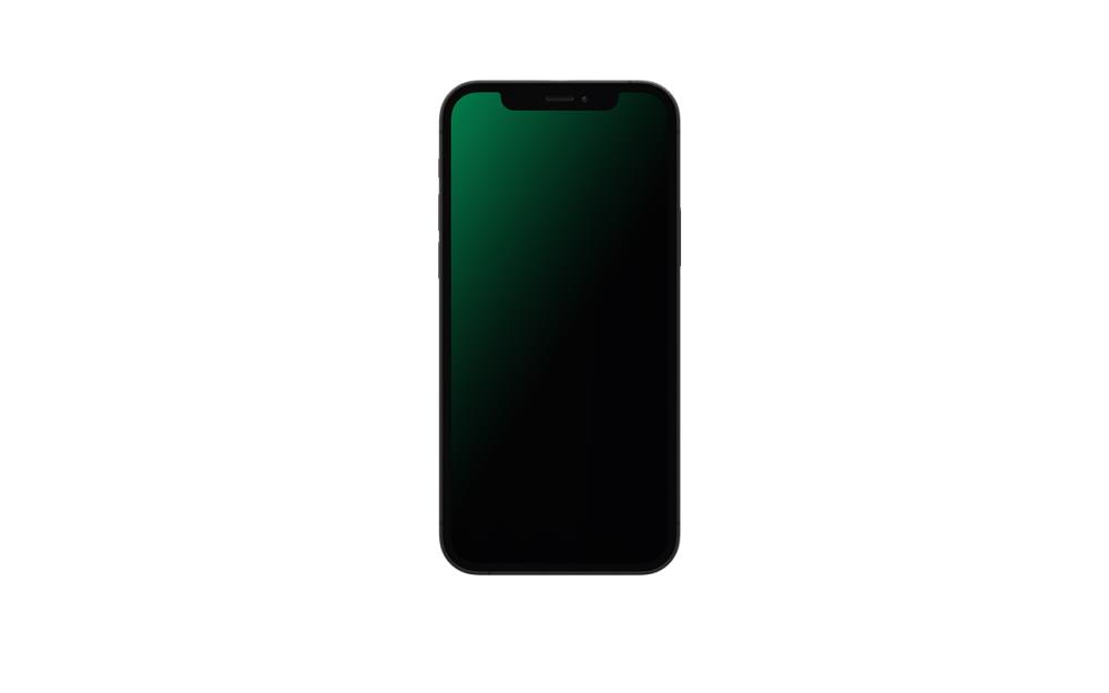 MOBILE PHONE IPHONE 12 PRO MAX/GRAP. RND-P211128 APPLE RENEWD