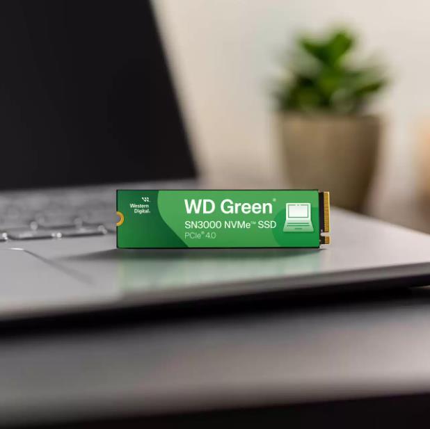 WESTERN DIGITAL Green 500GB M.2