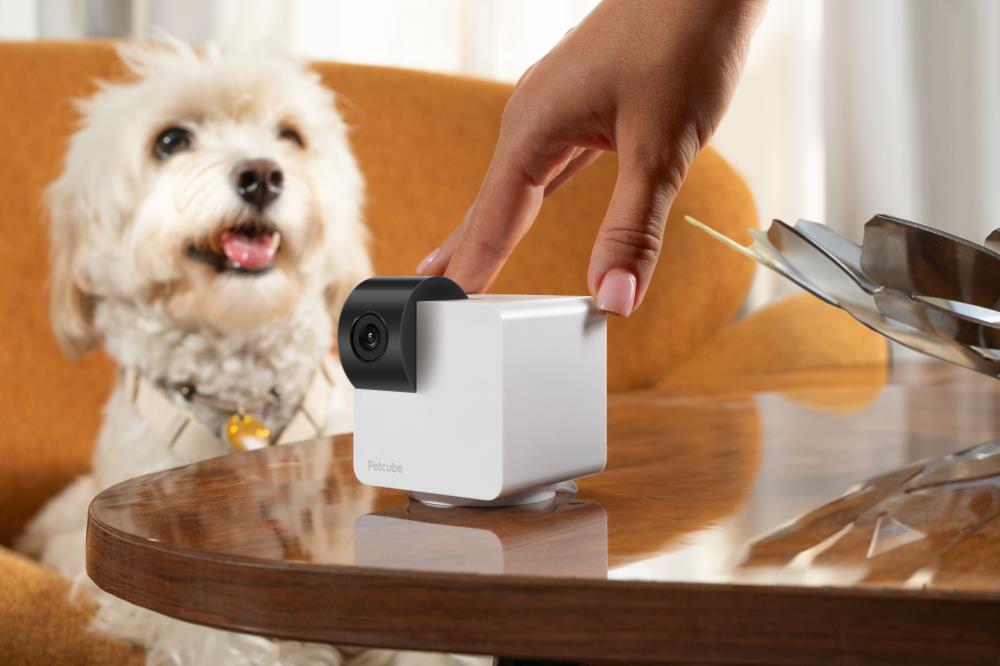 WRL CAMERA CAM 360/P36010US PETCUBE