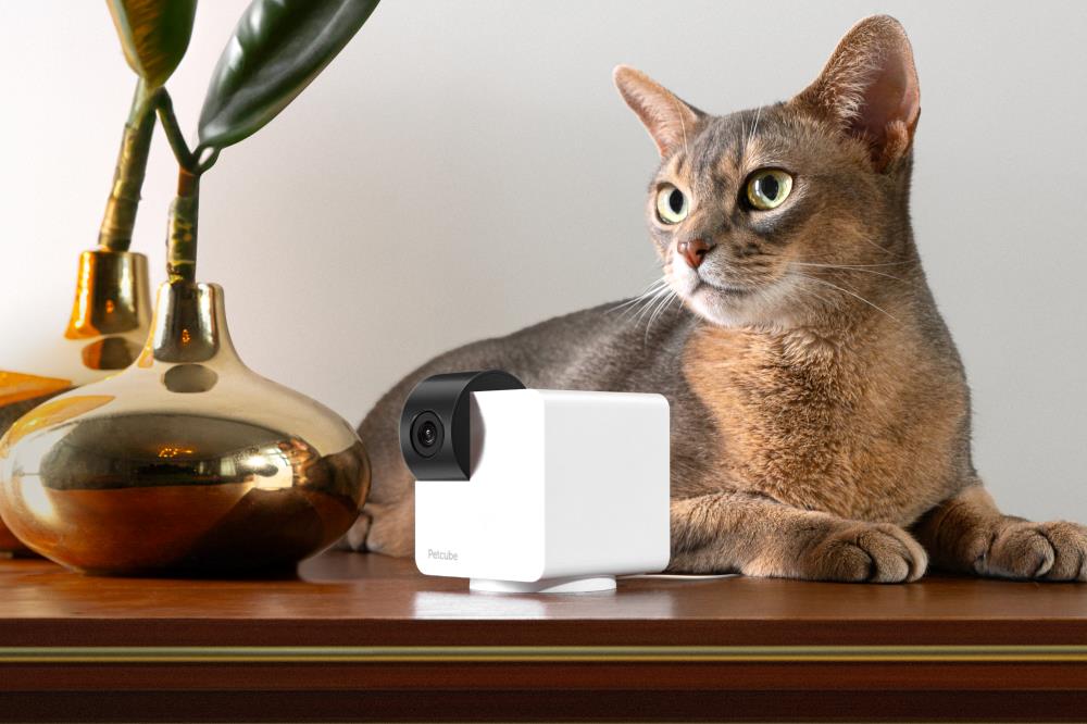 WRL CAMERA CAM 360/P36010US PETCUBE