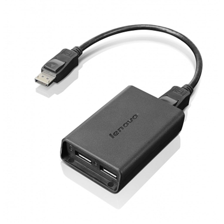 Lenovo DisplayPort to Dual-DisplayPort Monitor Cable Black