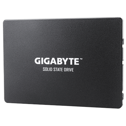 Gigabyte GP-GSTFS31256GTND 256 GB