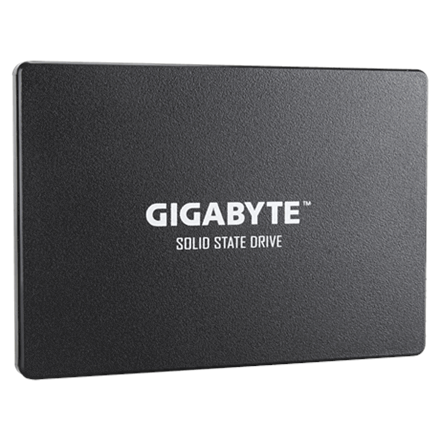 Gigabyte GP-GSTFS31256GTND 256 GB