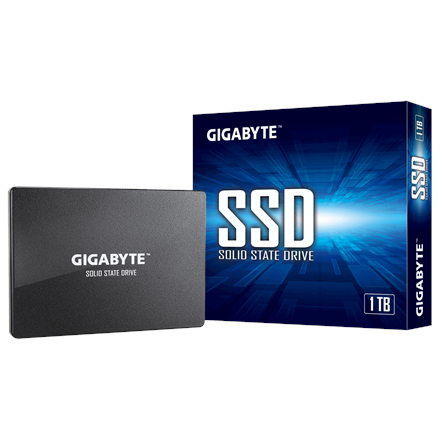 Gigabyte GP-GSTFS31100TNTD 1000 GB