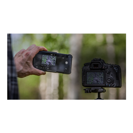 Canon | SLR Camera Body | Megapixel 32.5 MP | ISO 25600 | Display diagonal 3 " | Wi-Fi | Video recor