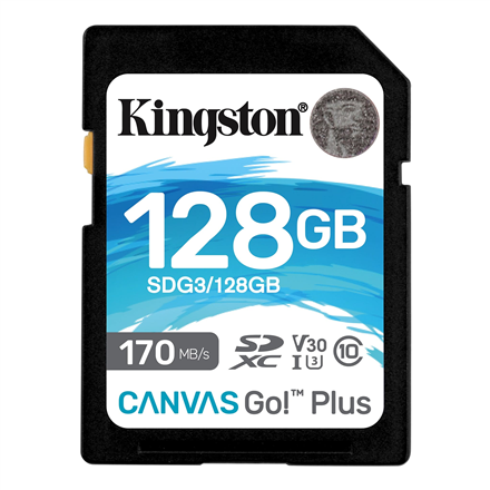 Kingston Canvas Go! Plus 128 GB