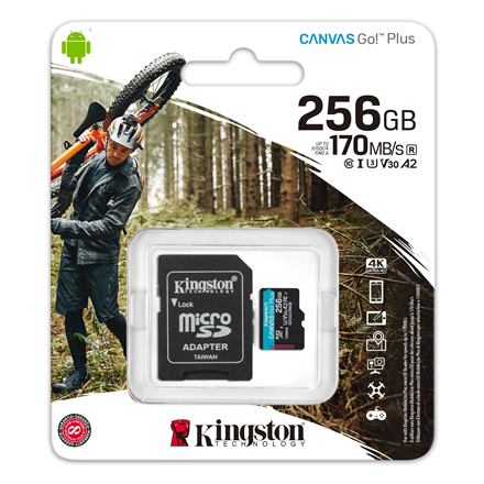 Kingston microSD Canvas Go! Plus 256 GB