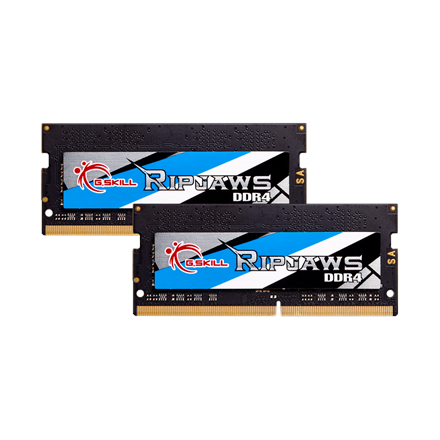 G.Skill Ripjaws  16 GB