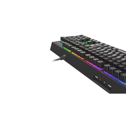 Genesis THOR 210 RGB Gaming keyboard
