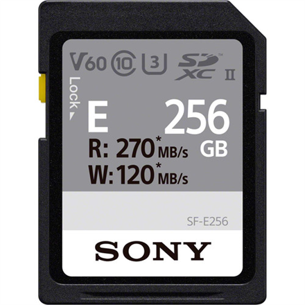 Sony SF-E256 256 GB