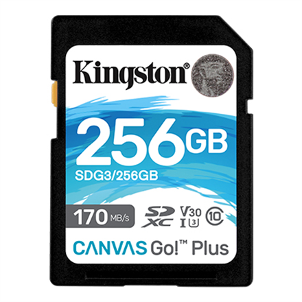 Kingston Canvas Go! Plus 256 GB