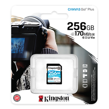 Kingston Canvas Go! Plus 256 GB