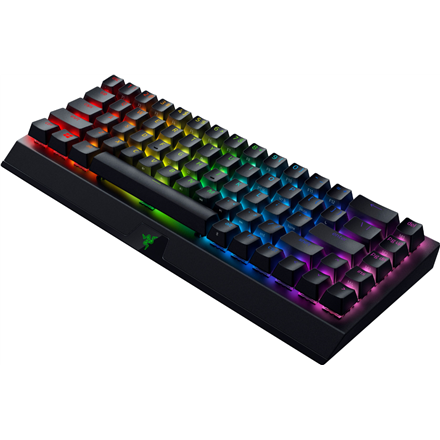 Razer Mechanical Gaming keyboard BlackWidow V3 Mini HyperSpeed  RGB LED light