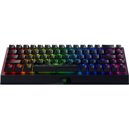 Razer Mechanical Gaming keyboard BlackWidow V3 Mini HyperSpeed  RGB LED light