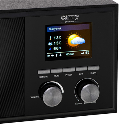 Camry Internet radio CR 1180 Display LCD