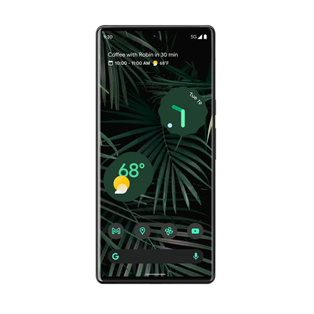 google Pixel 6 Pro Stormy Black