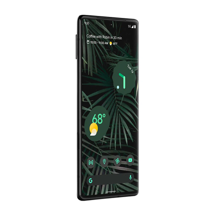 google Pixel 6 Pro Stormy Black