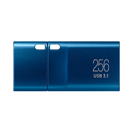 Samsung USB Flash Drive MUF-256DA/APC 256 GB