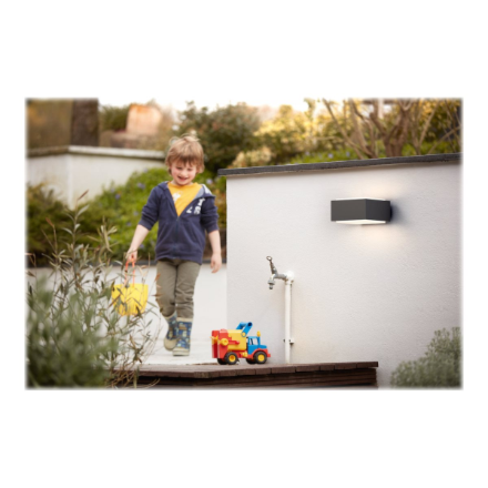 HEDGEHOG WALL LANTERN ANTHRACITE 1X42W | Philips