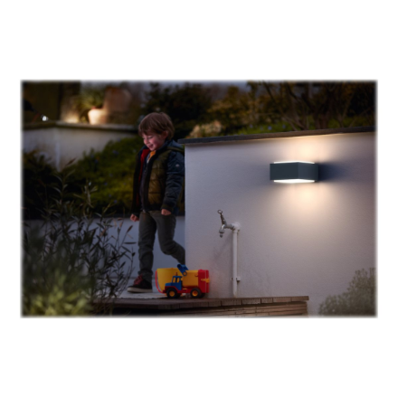 HEDGEHOG WALL LANTERN ANTHRACITE 1X42W | Philips