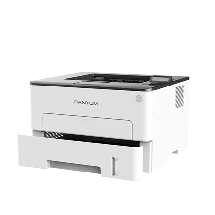Pantum Printer P3305DW	 Mono