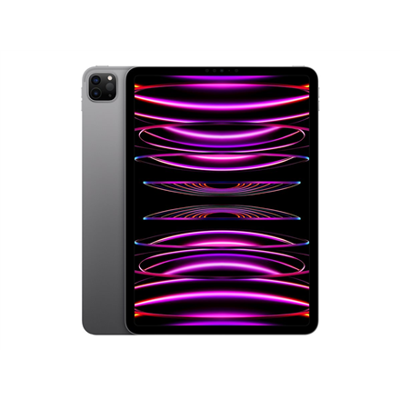iPad Pro 11" Wi-Fi 256GB - Space Gray 4th Gen