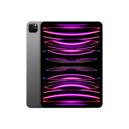 iPad Pro 11" Wi-Fi + Cellular 256GB - Space Gray 4th Gen