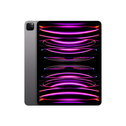 iPad Pro 12.9" Wi-Fi 256GB - Space Gray 6th Gen