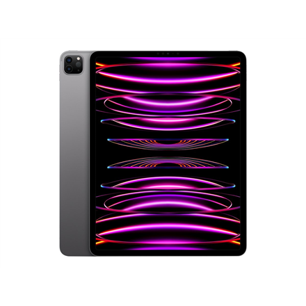 iPad Pro 12.9" Wi-Fi + Cellular 256GB - Space Gray 6th Gen
