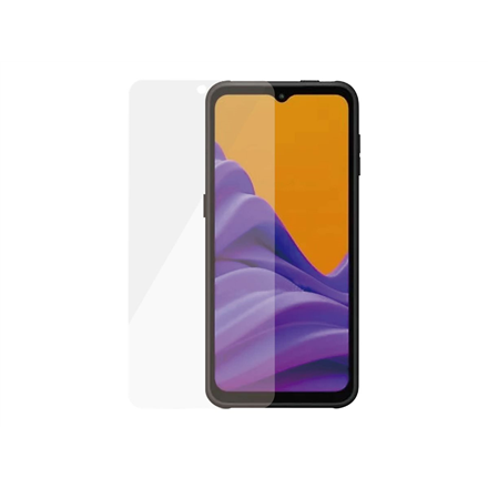 PanzerGlass Screen protector Samsung Galaxy Xcover6 Pro Glass Transparent Case Friendly