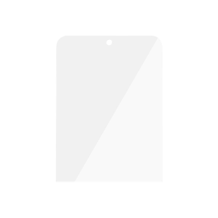 PanzerGlass Screen protector Samsung Galaxy Xcover6 Pro Glass Transparent Case Friendly