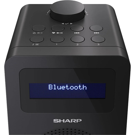 Sharp DR-430(BK) Digital Radio