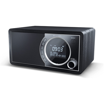 Sharp DR-450(BK) Digital Radio