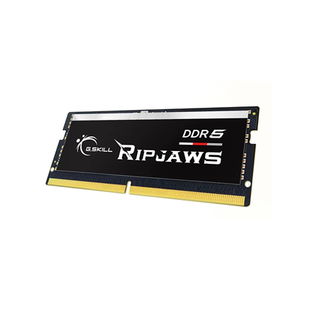 G.Skill Ripjaws   64GB (32GBx2) GB