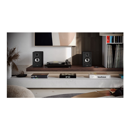 Sharp CP-SS30 Bookshelf Speakers