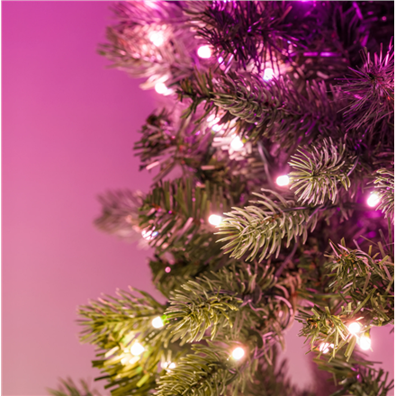 Twinkly Pre-lit Garland Smart LED 50 RGBW (Multicolor + White) Twinkly Pre-lit Garland Smart LED 50