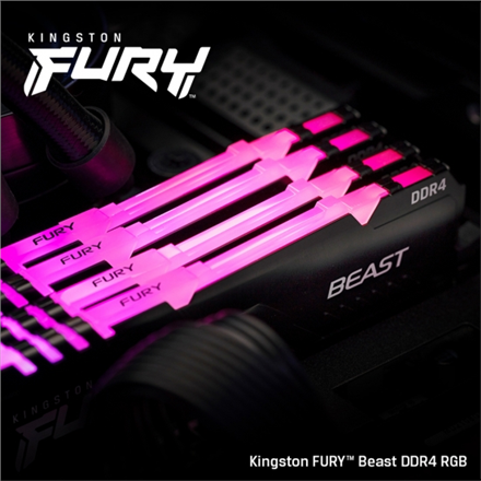 Kingston FURY Beast RGB 32 GB