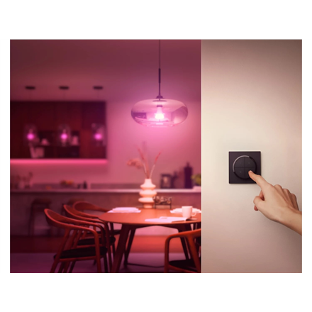 Philips Hue Tap dial switch black