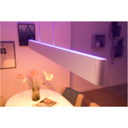 Philips Hue Ensis pendant white 2x39W 24V