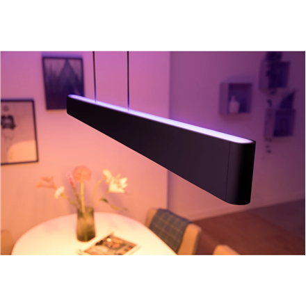 Philips Hue Ensis pendant black 2x39W 24V