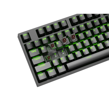 Genesis | Black | Mechanical Gaming Keyboard | THOR 404 TKL RGB | Mechanical Gaming Keyboard | Wired