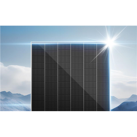 TrinaSolar | VERTEX N NEG21C.20 | N-Type BIFACIAL Dual Glass Monocrystalline | 700 W