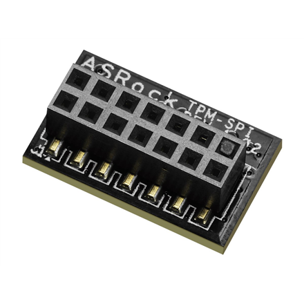 ASRock TPM-SPI | SPI interface