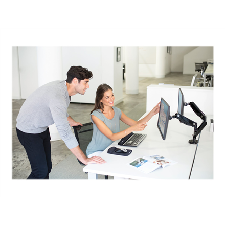 Fellowes arm for 2 monitors -  Platinum black