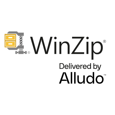 WinZip 28 Pro Single-User ESD